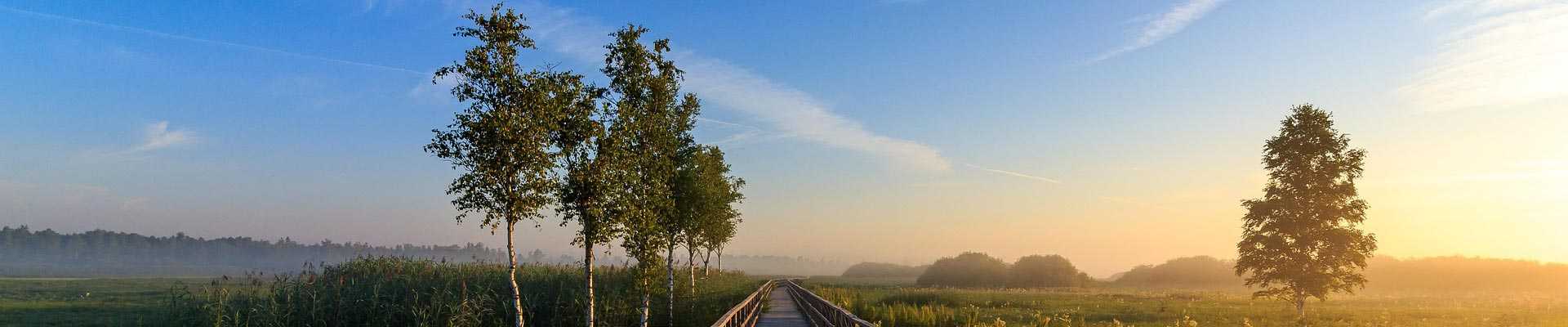 工程案例