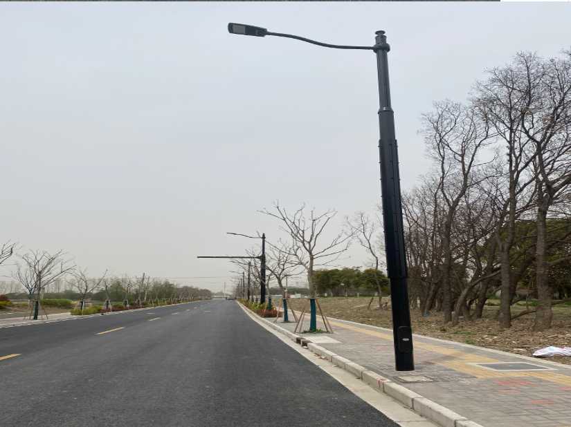 西湖区上海综合杆 太阳能路灯工程